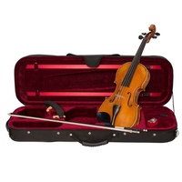 Geige Set Rudolf Mastri Premium 1/2