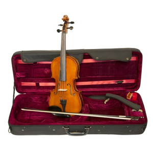 Mastri's Viola Set 38er Left Handed